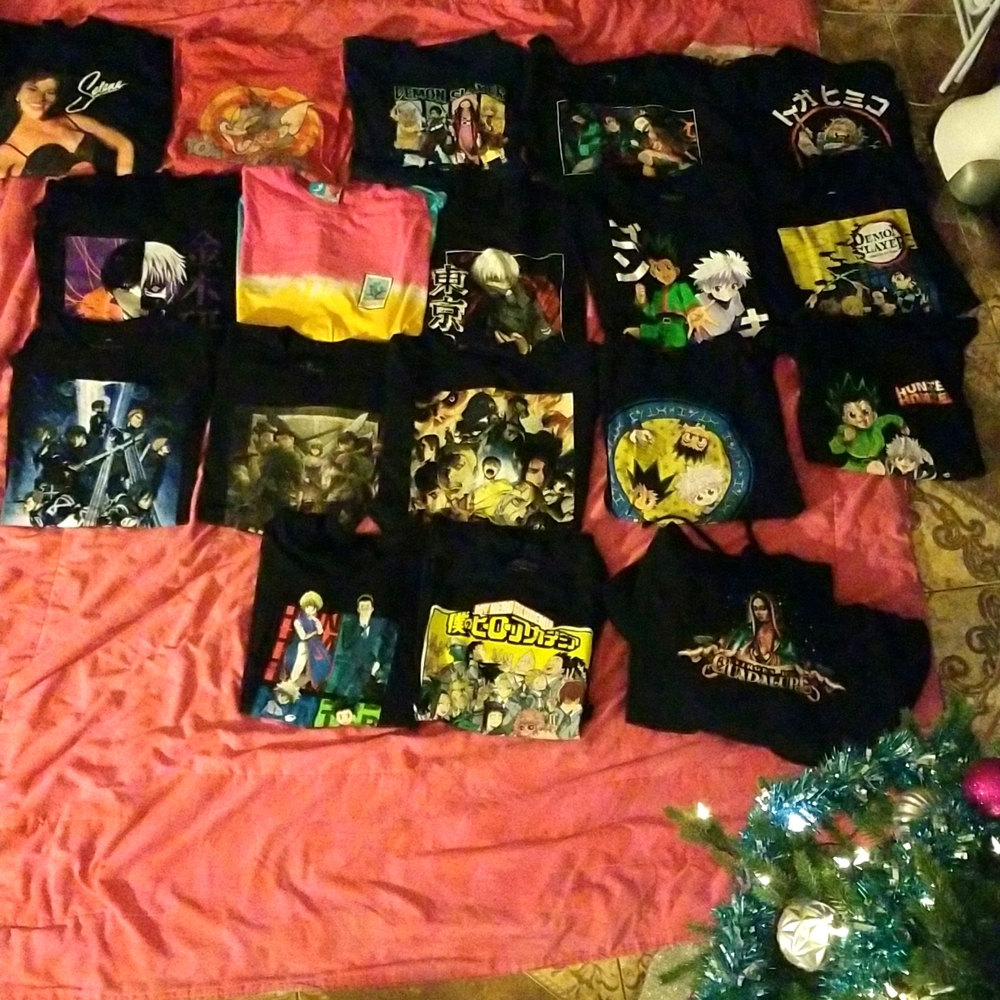 17 shirts and 1 hoddie